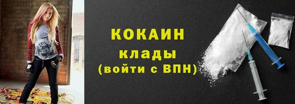 шишки Вязники