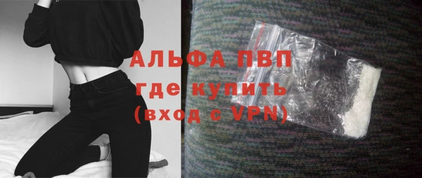 apvp Вяземский