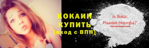 шишки Вязники