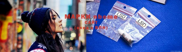 apvp Вяземский