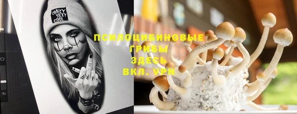 apvp Вяземский