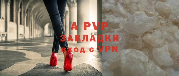 apvp Вяземский