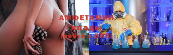 трава Вязьма