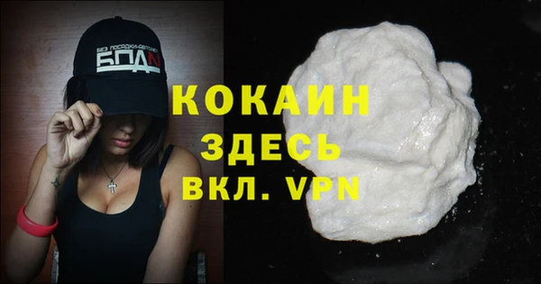 apvp Вяземский