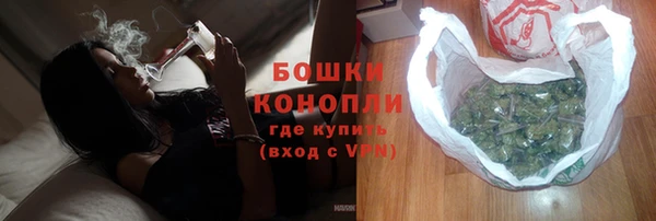 apvp Вяземский