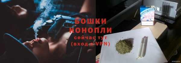 apvp Вяземский