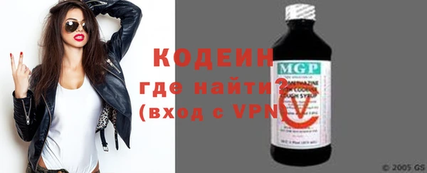 apvp Вяземский