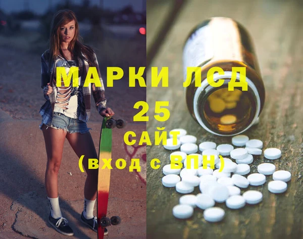 шишки Вязники