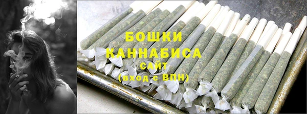шишки Вязники