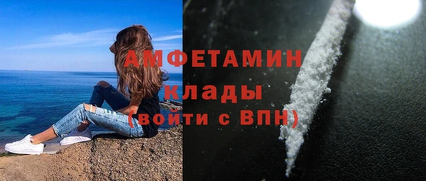 шишки Вязники