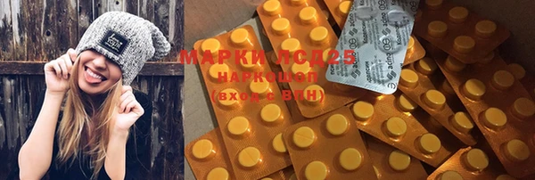 apvp Вяземский