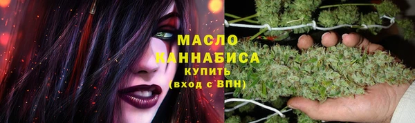 apvp Вяземский