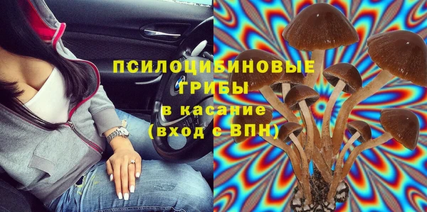 трава Вязьма
