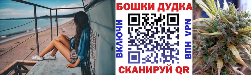 Купить  Полярный  Каннабис ГИДРОПОН 